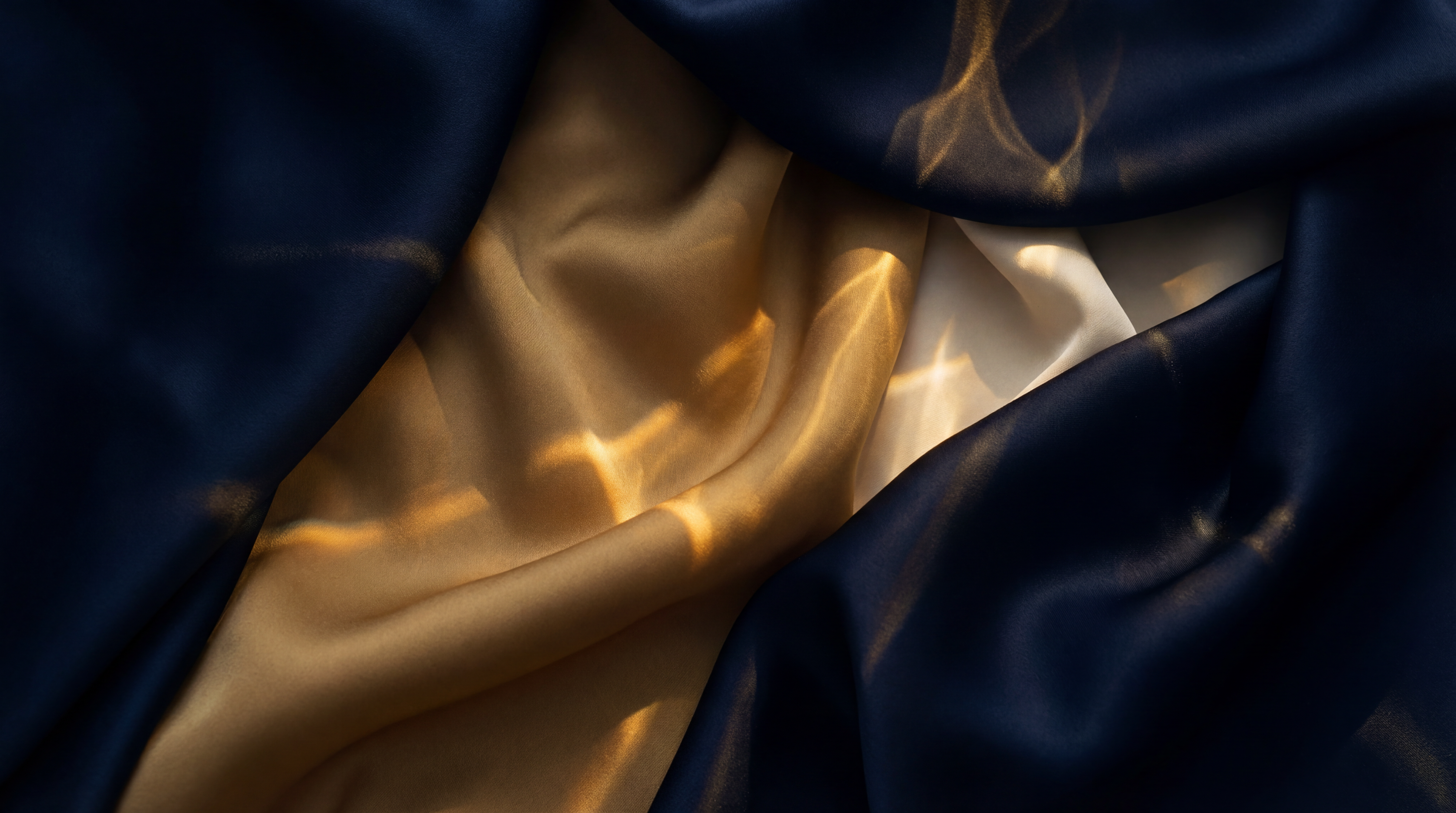 Maison Van Irene brand atmosphere